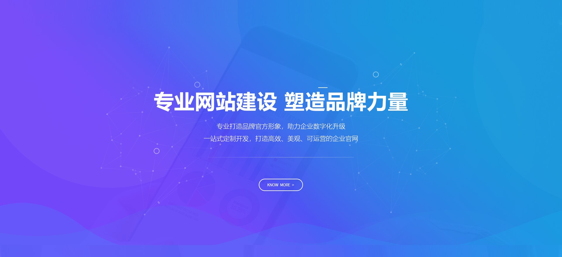 遂宁建站-专业网站建设 塑造品牌力量