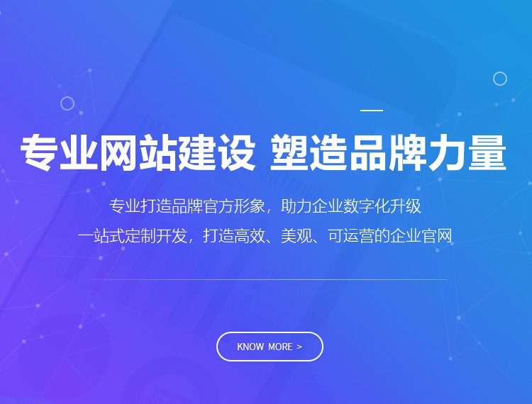 遂宁建站-专业网站建设 塑造品牌力量